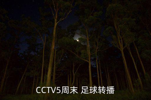 CCTV5周末 足球轉(zhuǎn)播