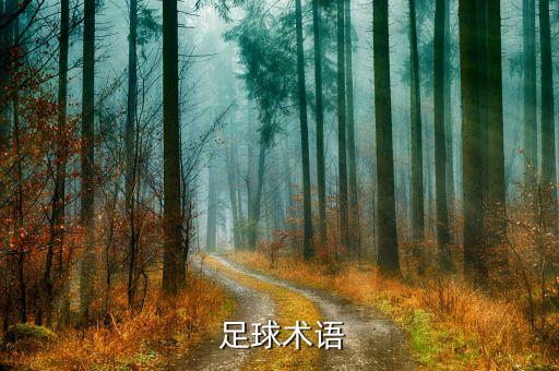 足球術(shù)語