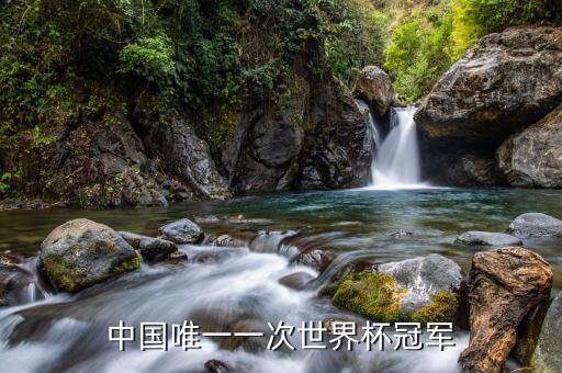 中國唯一一次世界杯冠軍