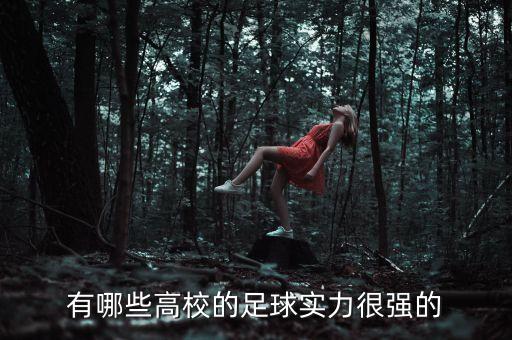 有哪些高校的足球?qū)嵙軓姷? class=