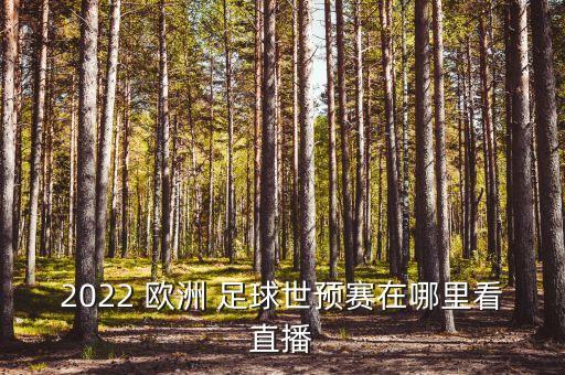 歐洲足球新聞網(wǎng)