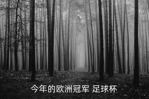 今年的歐洲冠軍 足球杯