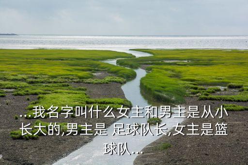 足球美女文老板,央視足球解說美女