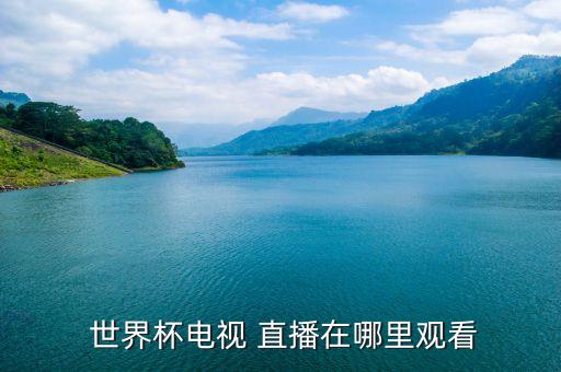  世界杯電視 直播在哪里觀看