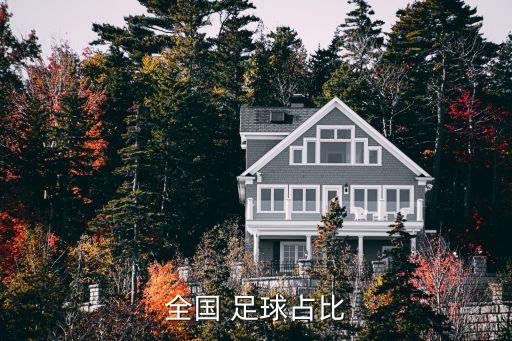 全國(guó) 足球占比