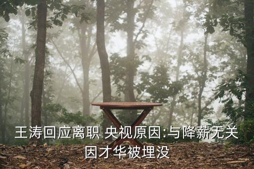 王濤回應離職 央視原因:與降薪無(wú)關(guān)因才華被埋沒(méi)