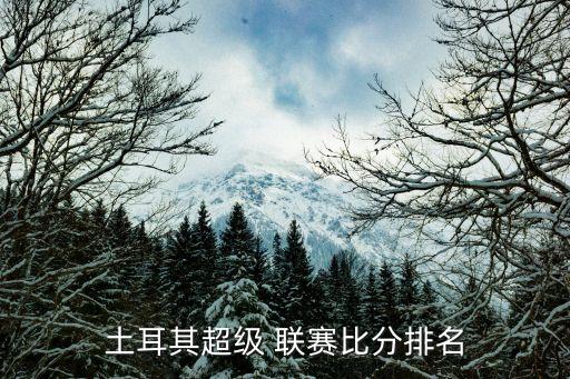 土耳其超級 聯(lián)賽比分排名