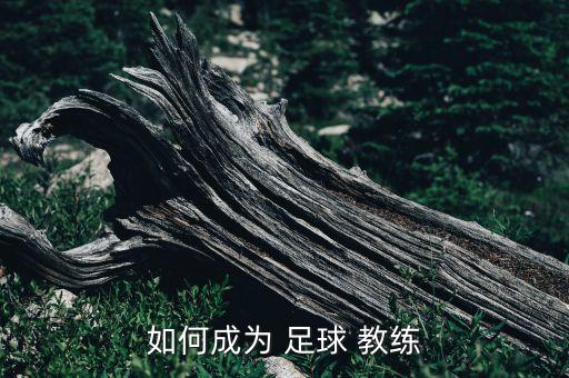 如何成為 足球 教練