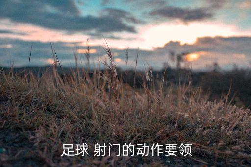 足球如何射門(mén)力量,足球射門(mén)力量最大的人