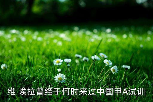 維 埃拉曾經(jīng)于何時來過中國甲A試訓(xùn)
