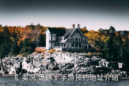 實(shí)況足球2017 正版授權(quán)