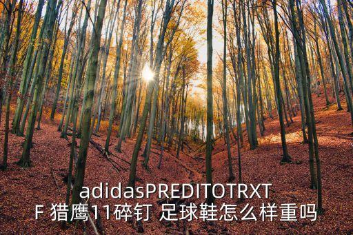 adidasPREDITOTRXTF 獵鷹11碎釘 足球鞋怎么樣重嗎