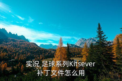  實(shí)況 足球系列Kitsever 補(bǔ)丁文件怎么用