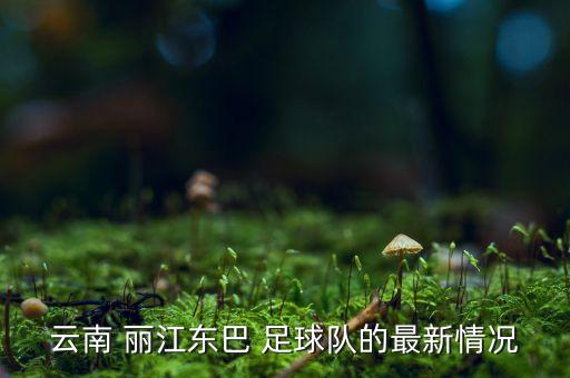 云南 麗江東巴 足球隊(duì)的最新情況