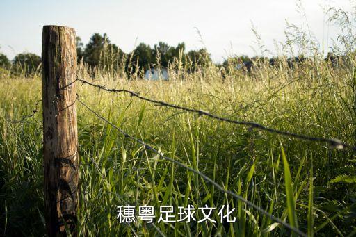 穗粵足球文化