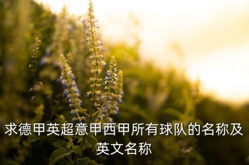 求德甲英超意甲西甲所有球隊的名稱(chēng)及英文名稱(chēng)