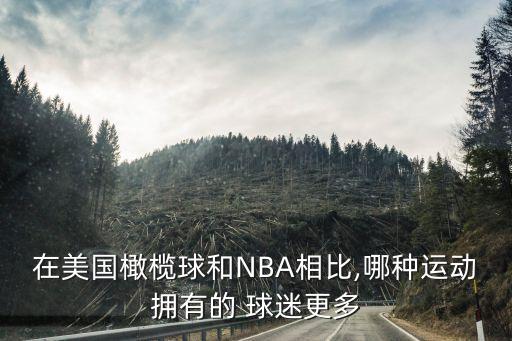 在美國橄欖球和NBA相比,哪種運動(dòng)擁有的 球迷更多