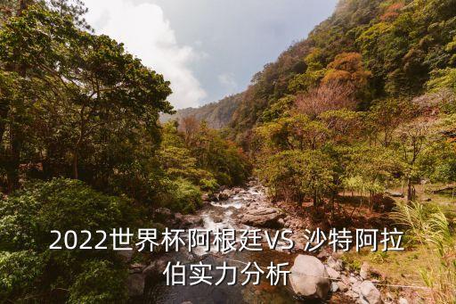 沙特跟阿聯(lián)酋足球,沙特和阿聯(lián)酋是什么關(guān)系