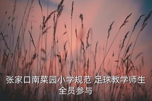 張家口南菜園小學(xué)規(guī)范 足球教學(xué)師生全員參與