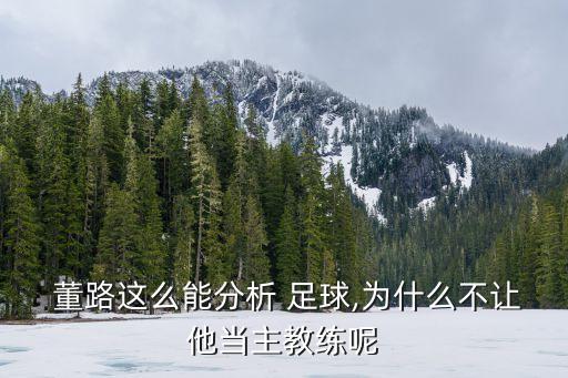  董路這么能分析 足球,為什么不讓他當(dāng)主教練呢