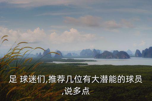 足 球迷們,推薦幾位有大潛能的球員,說多點