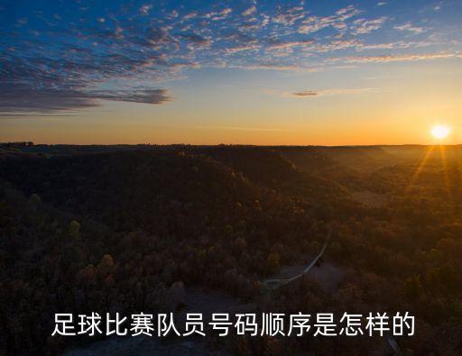  足球比賽隊員號碼順序是怎樣的