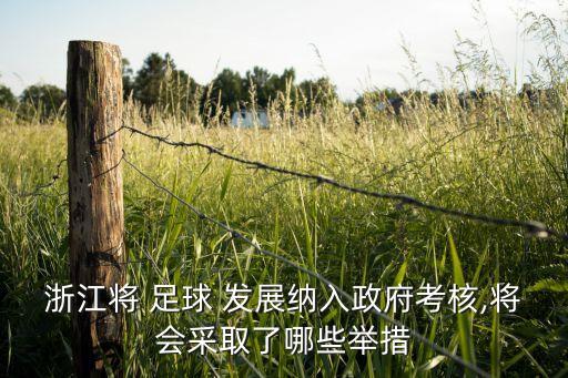 浙江將 足球 發(fā)展納入政府考核,將會采取了哪些舉措