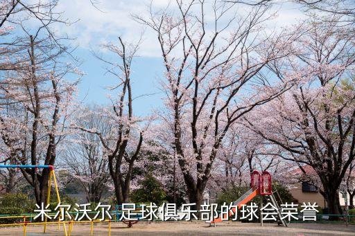 米爾沃爾 足球俱樂(lè)部的球會(huì)榮譽(yù)