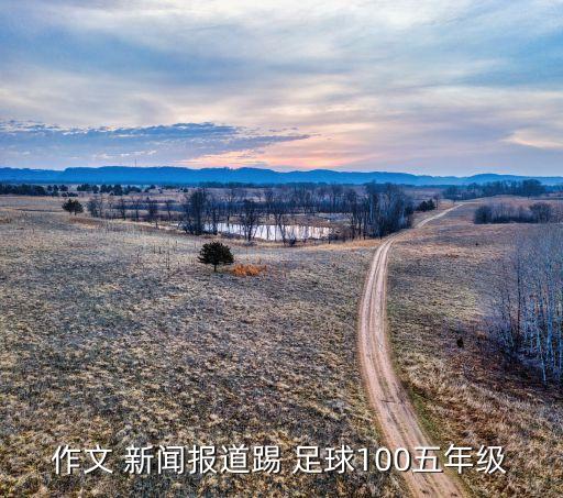 作文 新聞報道踢 足球100五年級