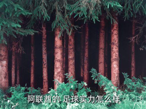 2014 2015阿聯(lián)酋足球