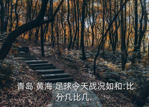  青島 黃海 足球今天戰(zhàn)況如和:比分幾比幾.