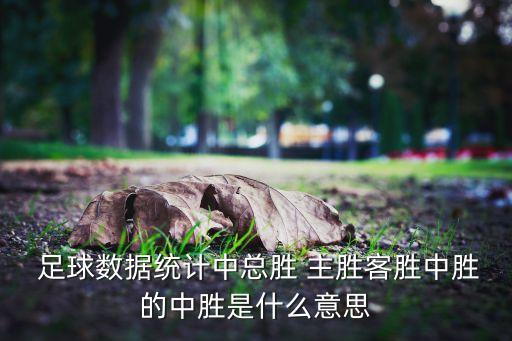  足球數(shù)據(jù)統(tǒng)計(jì)中總勝 主勝客勝中勝的中勝是什么意思