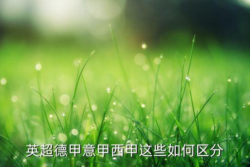 英超德甲意甲西甲這些如何區(qū)分
