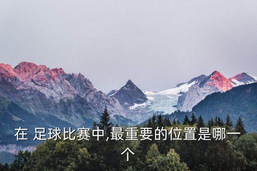 在 足球比賽中,最重要的位置是哪一個(gè)