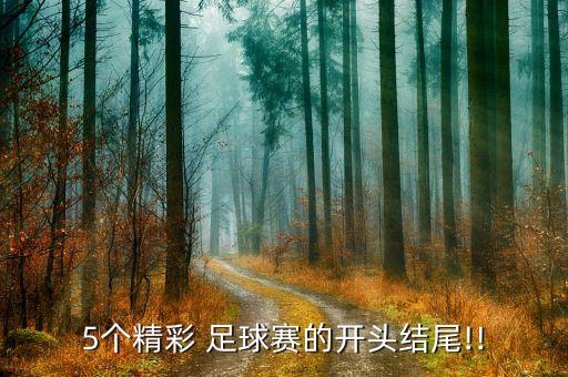 5個精彩 足球賽的開頭結(jié)尾!!