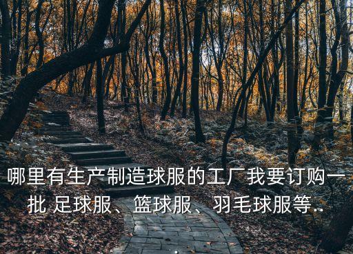 哪里有生產(chǎn)制造球服的工廠我要訂購一批 足球服、籃球服、羽毛球服等...