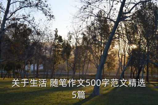 關(guān)于生活 隨筆作文500字范文精選5篇