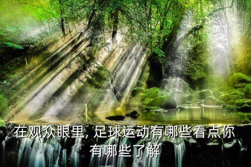 在觀眾眼里, 足球運(yùn)動(dòng)有哪些看點(diǎn)你有哪些了解
