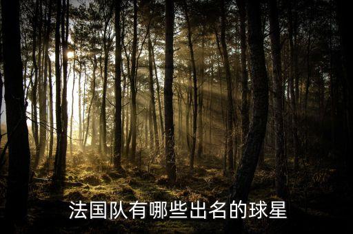 法國足球明星男,法國現(xiàn)役足球明星