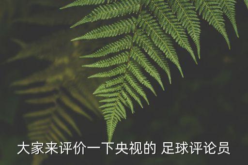 大家來(lái)評價(jià)一下央視的 足球評論員