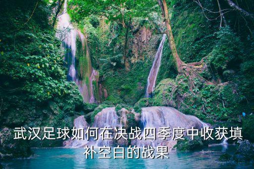  武漢足球如何在決戰(zhàn)四季度中收獲填補空白的戰(zhàn)果