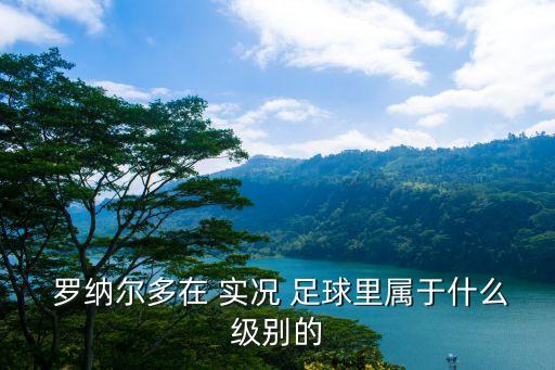  羅納爾多在 實況 足球里屬于什么級別的