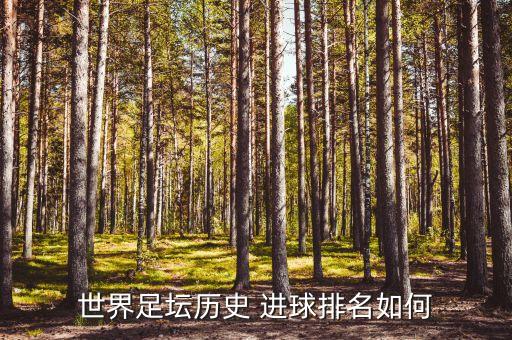 足球體育平均進(jìn)球,足球平均進(jìn)球率怎么如何計(jì)算