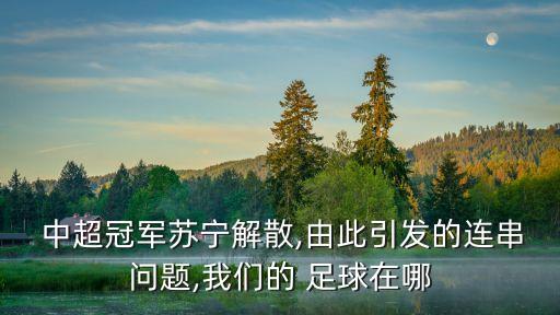  中超冠軍蘇寧解散,由此引發(fā)的連串問(wèn)題,我們的 足球在哪