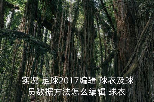  實(shí)況 足球2017編輯 球衣及球員數據方法怎么編輯 球衣