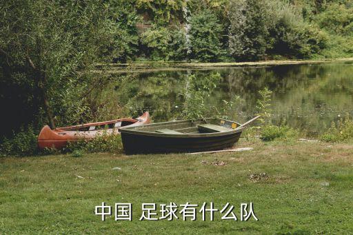 中國(guó) 足球有什么隊(duì)
