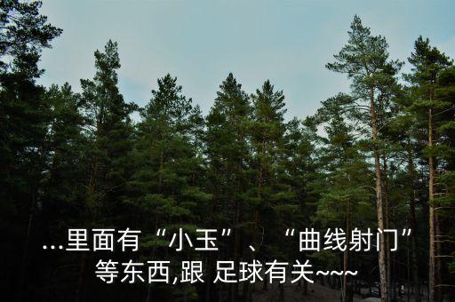 ...里面有“小玉”、“曲線射門(mén)”等東西,跟 足球有關(guān)~~~