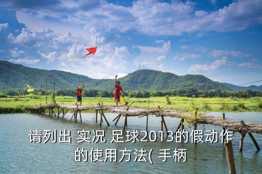 請(qǐng)列出 實(shí)況 足球2013的假動(dòng)作的使用方法( 手柄