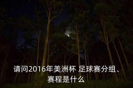 請問2016年美洲杯 足球賽分組、賽程是什么