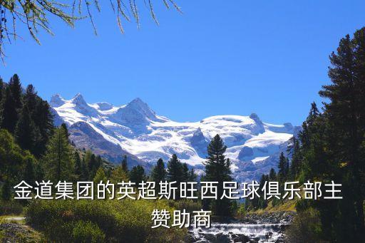 金道集團(tuán)的英超斯旺西足球俱樂(lè)部主 贊助商